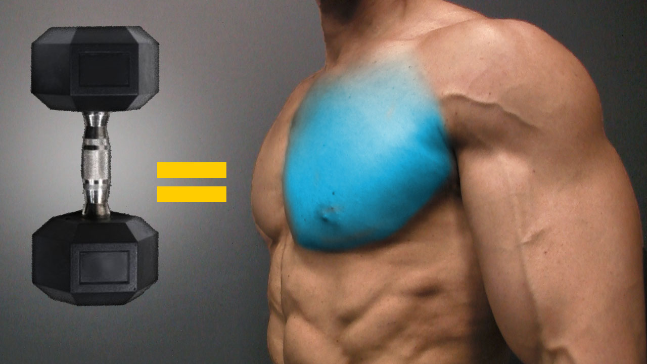 Chest dumbbell workout, maximize muscle building