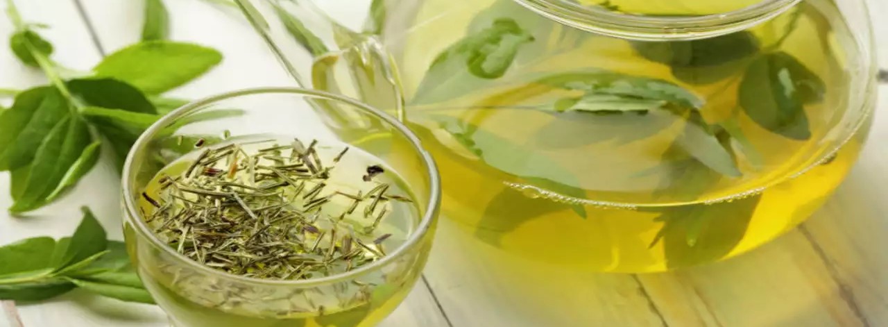 Experience The Advantages Benefits Of Drinking Green Tea Daily 